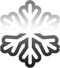 white and grey snowflake